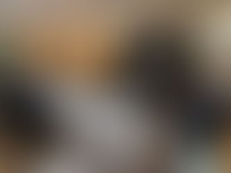 Projeto “Amazônia Conectada” é apresentado em reunião na Presidência do TRT11