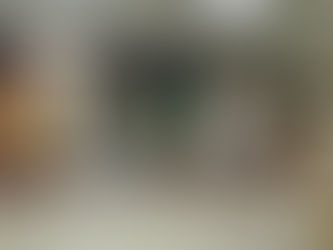 Amazonas: Ipaam apresenta trabalhos produzidos por catadora de recicláveis