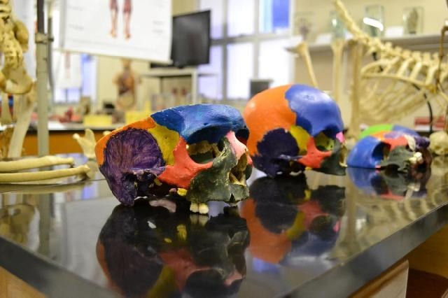 Guia contém informações sobre museus, planetários, jardins botânicos, zoológicos, aquários, unidades de ciência móvel e associações - Divulgação/Governo do ES