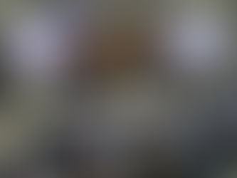 Assembleia Legislativa homenageia profissionais de educação com a Medalha Ignês de Vasconcellos Dias