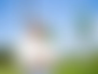 Novas tecnologias aplicadas para a seringueira da Amazônia podem fazer a borracha natural voltar a t