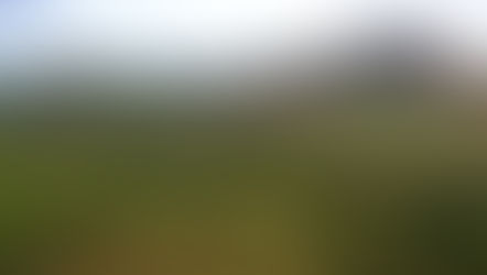 BNDES aprova R$150 milhões para prevenção e combate a incêndios