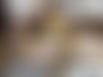 Colecionador brasiliense doa 2 mil insetos ao Museu Nacional do Rio