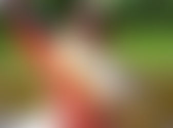 Aleam debaterá políticas de estímulo à pesca esportiva no Amazonas