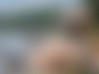 Extrativismo é pouco valorizado na Amazônia brasileira