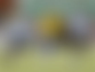 Seleção Feminina conquista vaga para Jogos de 2015