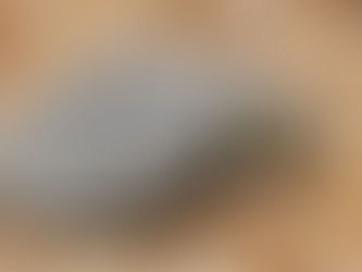 Especialistas se reúnem no Cequa para debater conservação de tartarugas de água doce