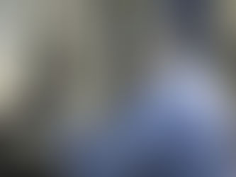 Zika pode bloquear ativação do sistema imunológico, diz pesquisa da Fiocruz