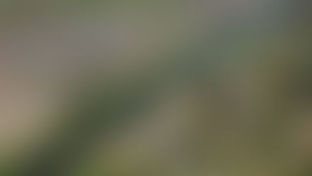 Novo PAC destina R$ 914,3 milhões para obras de manejo de águas pluviais em 13 municípios
