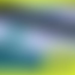 Saiba como vai funcionar o cashback da restituição automática do IR