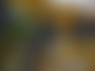 Comissão da Câmara vai analisar PEC sobre demarcação de terras indígenas