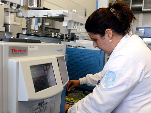 Capes anuncia corte de 5.613 bolsas de pós-graduação para este ano