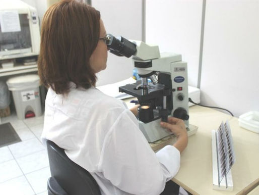 Inscrições para bolsas de produtividade do CNPq começam em maio