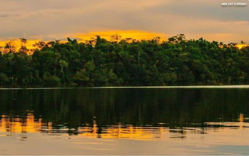 Complexo da Amazônia Central: patrimônio mundial protege mais de 6 milhões de hectares