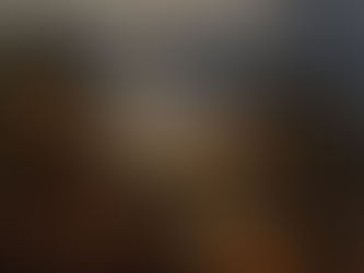 Comunidades tradicionais apontam omissão do governo e acusam Bolsonaro de mentir sobre fogos