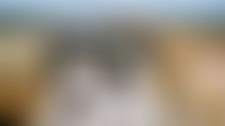 Especialistas e municípios criticam PL sobre minerais críticos