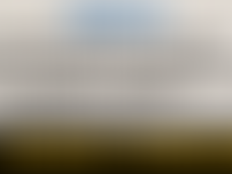 Amarelou? Bolsonaro diz que pode não ir a debates mesmo liberado