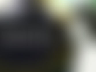 #NãoVaiTerGolpe: Contas de Dilma recebem parecer favorável na Comissão Mista de Orçamento