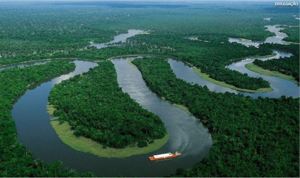 Brasil anuncia 3,4 milhões de hectares em processo de restauração de mata nativa