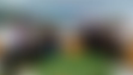 Lula sanciona leis que fortalecem agricultura familiar e oferta de alimentos no País