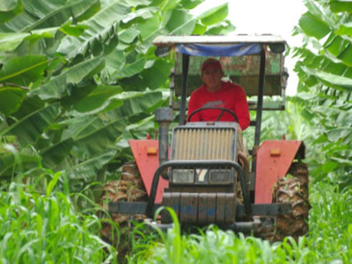 Riqueza do agronegócio crescerá 62% a mais que inflação prevista para 2015