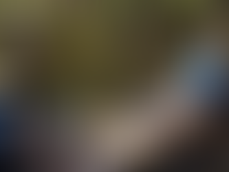 Projeto de PNUD e EMBRAPA promove produção sustentável de açaí no Pará