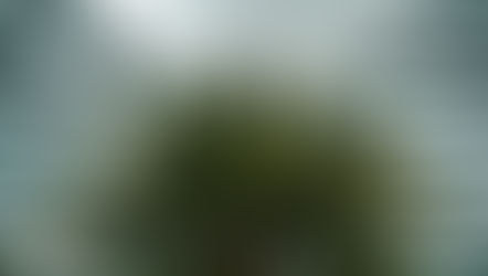 PF adia depoimentos de três investigados no inquérito do Banco Master