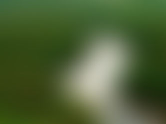 Temer sai, Amazônia fica faz sucesso em todo o Brasil