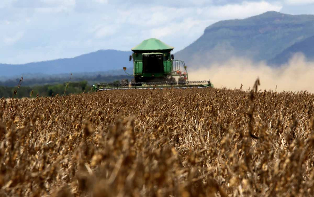 Agronegócio: “O setor começa a perceber que a preocupação ambiental é algo relevante para muitos mercados consumidores, especialmente para a União Europeia”, afirma o professor Pedro Luiz Côrtes/Foto: MANOEL JÚNIOR/GOVERNO DO TOCANTINS