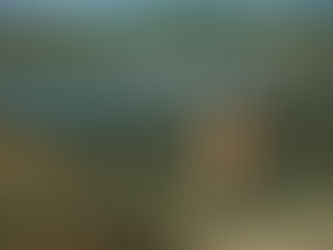 CNA discute em seminário internacional uso racional da água