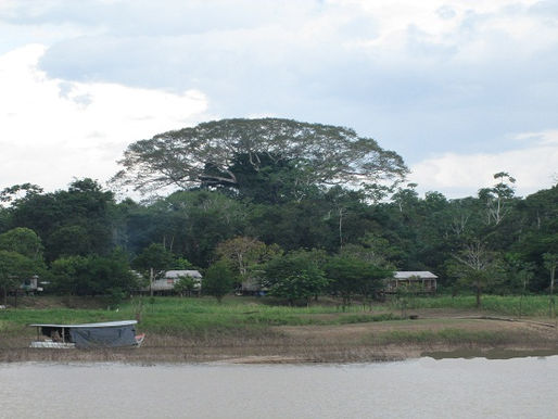 Inpa capacita Monitores da Biodiversidade da Reserva Extrativista do Baixo Juruá