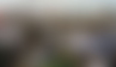 Jovens são apenas 6,8% dos candidatos que disputam corrida eleitoral