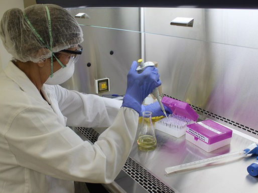 Novo laboratório aumentará segurança e qualidade da carne brasileira