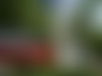 Equador pede investigação de funcionários públicos que atuaram com a Odebrecht