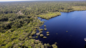 União Europeia fará doação de R$ 120 milhões ao Fundo Amazônia