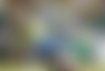 Brasil enfrenta EUA em último teste para a Copa América-MG