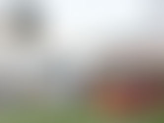 Derrota alemã classifica México para a próxima fase da Copa