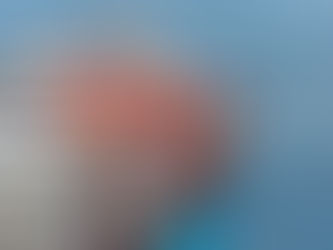 Exportações brasileiras batem recorde em outubro, apesar de tarifaço