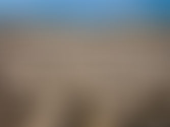 Projeto brasileiro é premiado por programa da ONU contra desertificação