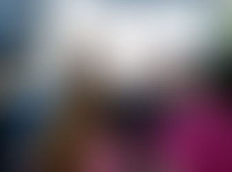 Sinésio Campos debate manejo do jacaré para o Amazonas