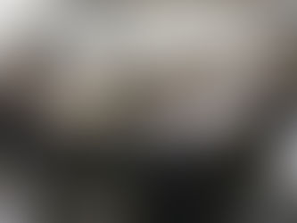 Lula: apurar a corrupção é essencial, mas economia não pode parar