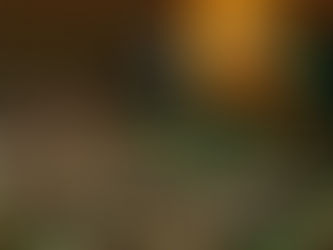 Economia brasileira é mais forte, sólida e resiliente do que há alguns anos, afirma Dilma na ONU