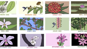 ​Flores da Amazônia irão percorrer seus dias em 2022