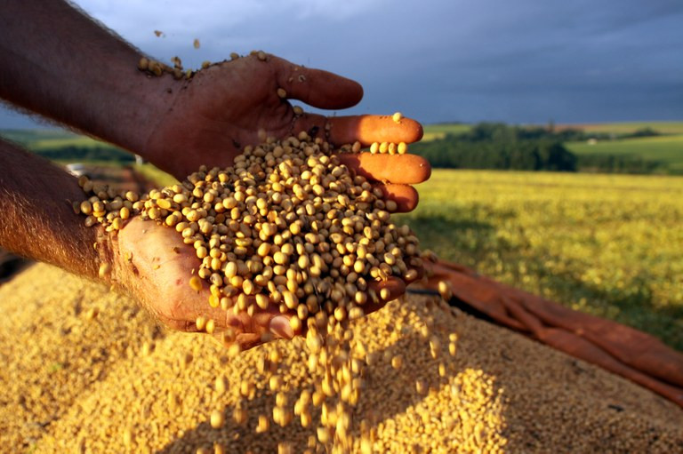 Colheita e plantação de soja no interior de Cascavel Foto: Agência de Notícias do PR