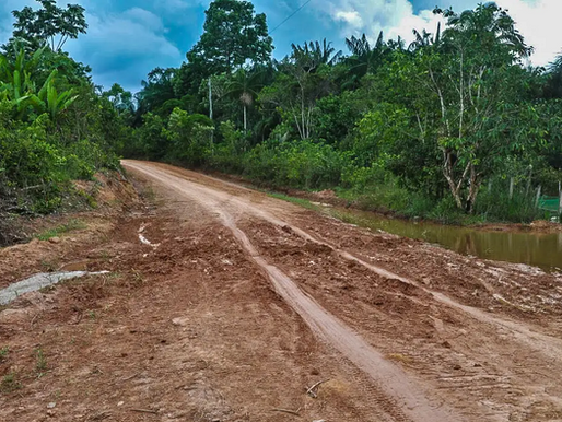Deputados da Aleam voltam a cobrar agilidade na liberação de licenças para recuperação da BR-319