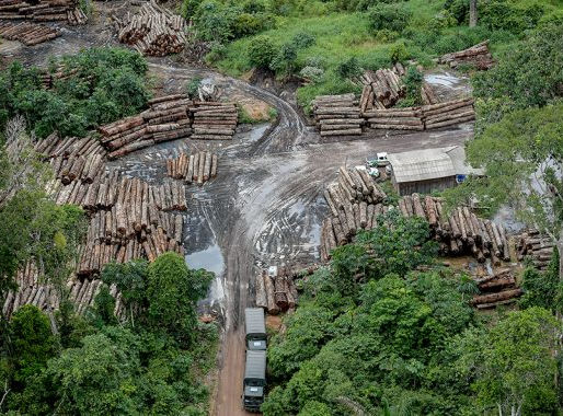 Possíveis mudanças no Código Florestal preocupam deputados do Amazonas