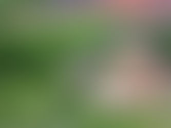 Brasil agora tem Plano Nacional de Adaptação à Mudança do Clima