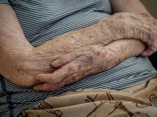 Número de lares com idosos em insegurança alimentar cai em dois anos
