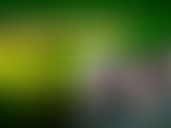 Com discurso de combate à corrupção, Bolsonaro posa com corruptos