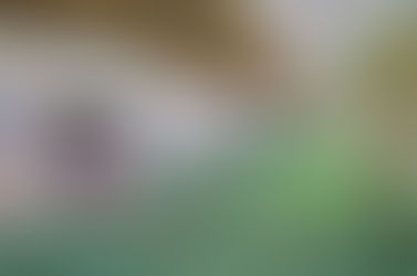 Conselheiros escolares farão curso sobre gestão democrática